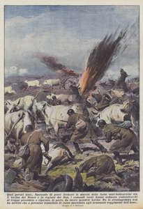 Those Poor Oxen