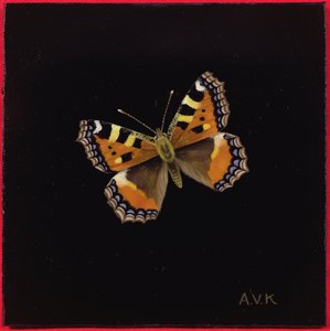Small Tortoiseshell Butterfly