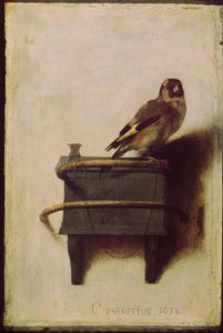 The Goldfinch