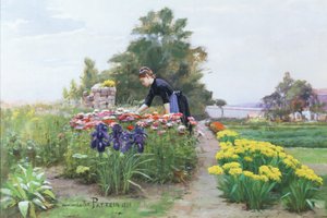 The Flower Garden