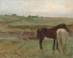 Horses in a Meadow