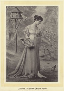 Feeding The Doves: a Living Picture