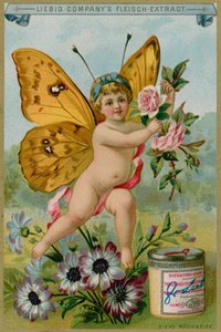 Butterfly Cherub with Daisies