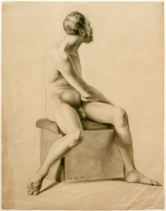 Seated Male Nude