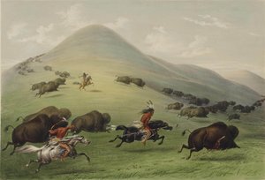 The Buffalo Hunt