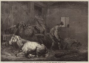 Horses in a Stable