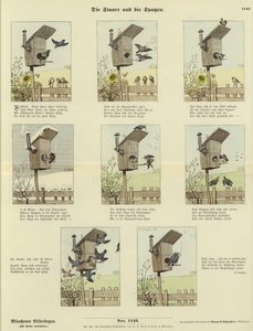 The Starlings and the Sparrows