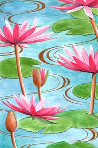 Lotus Flower