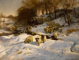 Sheep in Snow