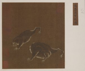 A Pair of Three-legged Toads