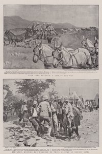 The War in South Africa