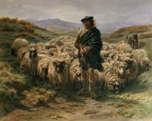 The Highland Shepherd