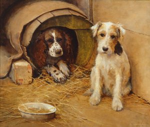 In the Dog House