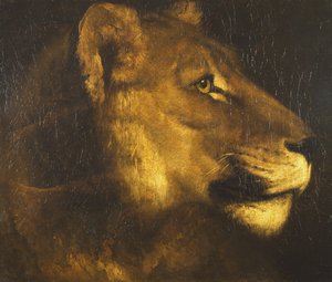 Head of a Lioness