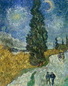 Cypress Path under the Starry Sky