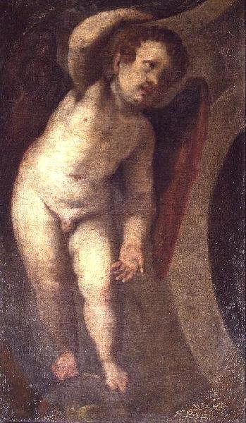 Putto by Veronese