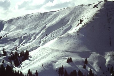 Snowy Slope by Detlef B. Fischer