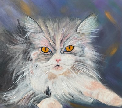 Maine Coon Cat by H.Opitz