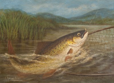 The Fly Fisherman