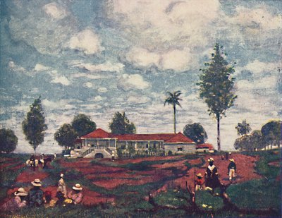 A Coffee Fazenda by A. S. Forrest