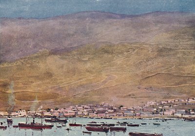 Arica by A. S. Forrest