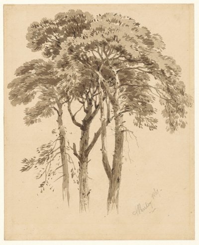 Study of Three Pines by Aaron Edwin Penley