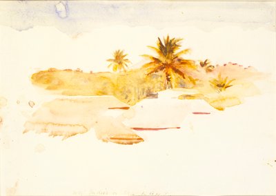 West Indies by Abbott Handerson Thayer