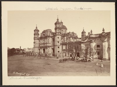 Cathedral at Guadalupe by Abel Briquet