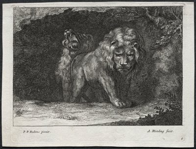 Various Lions by Abraham Blooteling