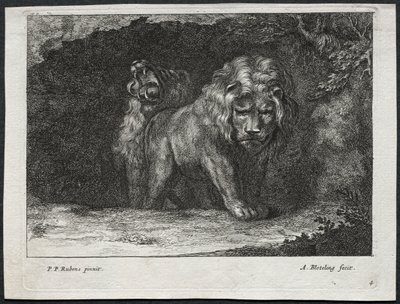 Various Lions by Abraham Blooteling