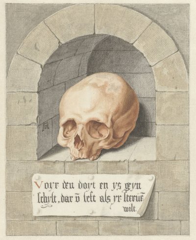 Skull in a Niche by Abraham Delfos