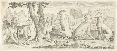 Dogs (Animals) by Abraham de Bruyn (possibly)