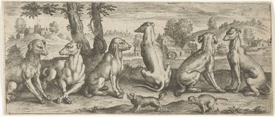 Dogs by Abraham de Bruyn (possibly)