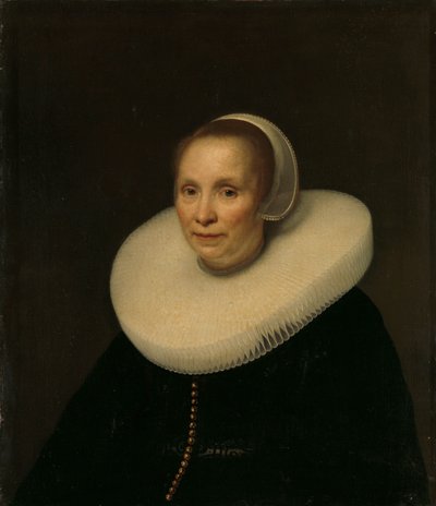 Portrait of a Woman by Abraham van den Tempel
