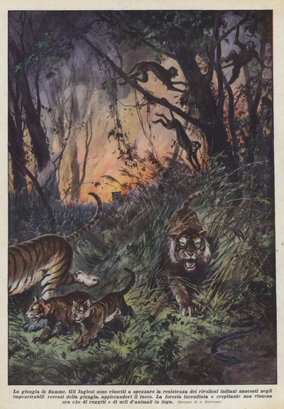 The Jungle in Flames by Achille Beltrame