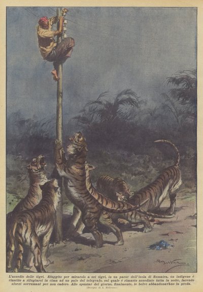 The siege of the tigers by Achille Beltrame