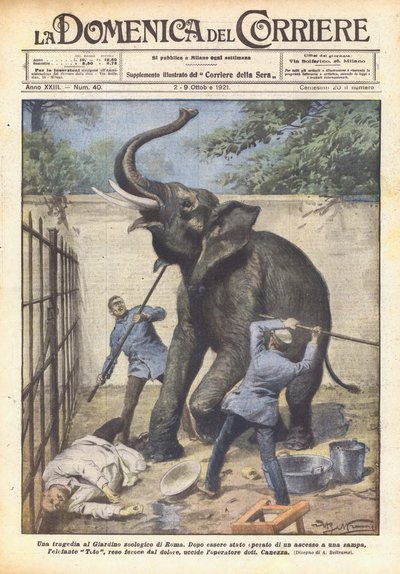 A Tragedy at the Rome Zoo by Achille Beltrame