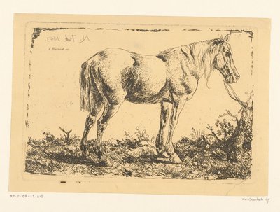 Horse by a tree by Adam von Bartsch