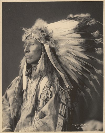 Blackheart, Sioux by Adolph F. Muhr