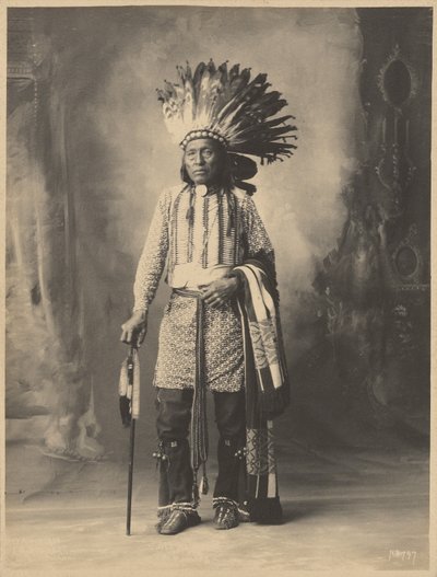 Native American Male by Adolph F. Muhr
