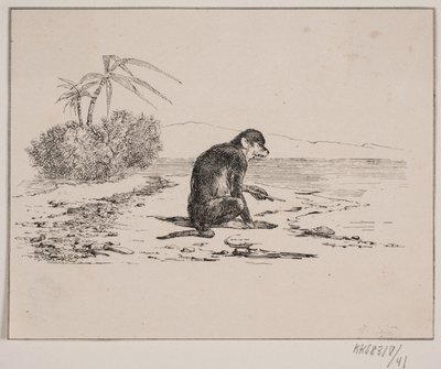 The Monkey by Johan Adolph Kittendorff