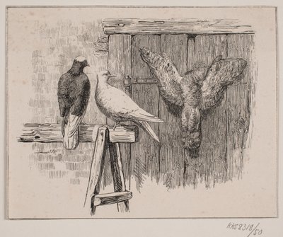 The Doves by Johan Adolph Kittendorff