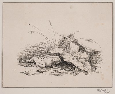 The Toad by Johan Adolph Kittendorff
