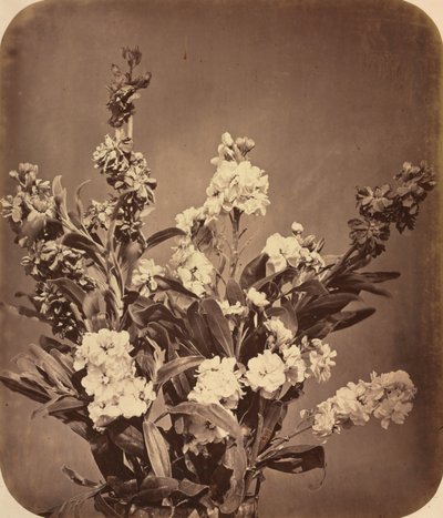 Bouquet by Adolphe Braun