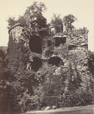 The Exploded Tower, Heidelberg Castle by Adolphe Braun