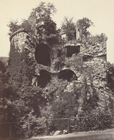 The Exploded Tower, Heidelberg Castle by Adolphe Braun