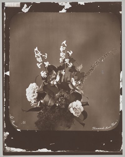 Untitled (flower arrangement) by Adolphe Braun