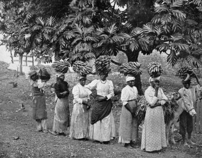 Banana carriers, Jamaica by Adolphe Duperly and Son
