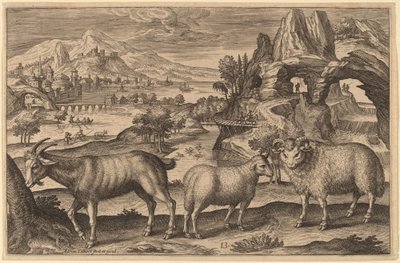 A Goat, a Ewe, and a Ram by Adriaen Collaert