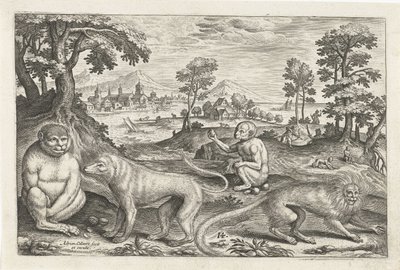 Monkeys (Four-Legged Animals) by Adriaen Collaert